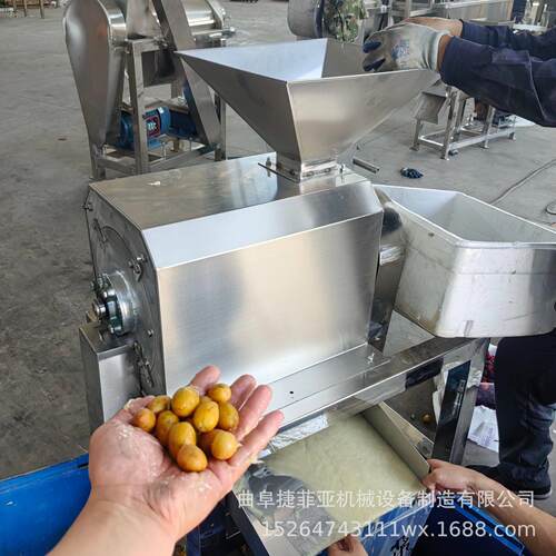 黄皮果樱桃李子去核打浆机青梅橄榄去核机商用浆果类打浆机