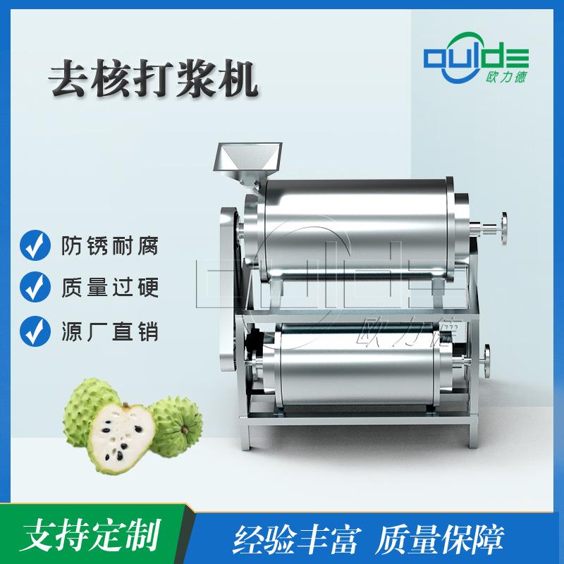 大型食品厂专用释迦果去核打浆机全自动连续作业产能无忧