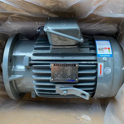 电机TEGH112M1-43.7W4PAEVF2N