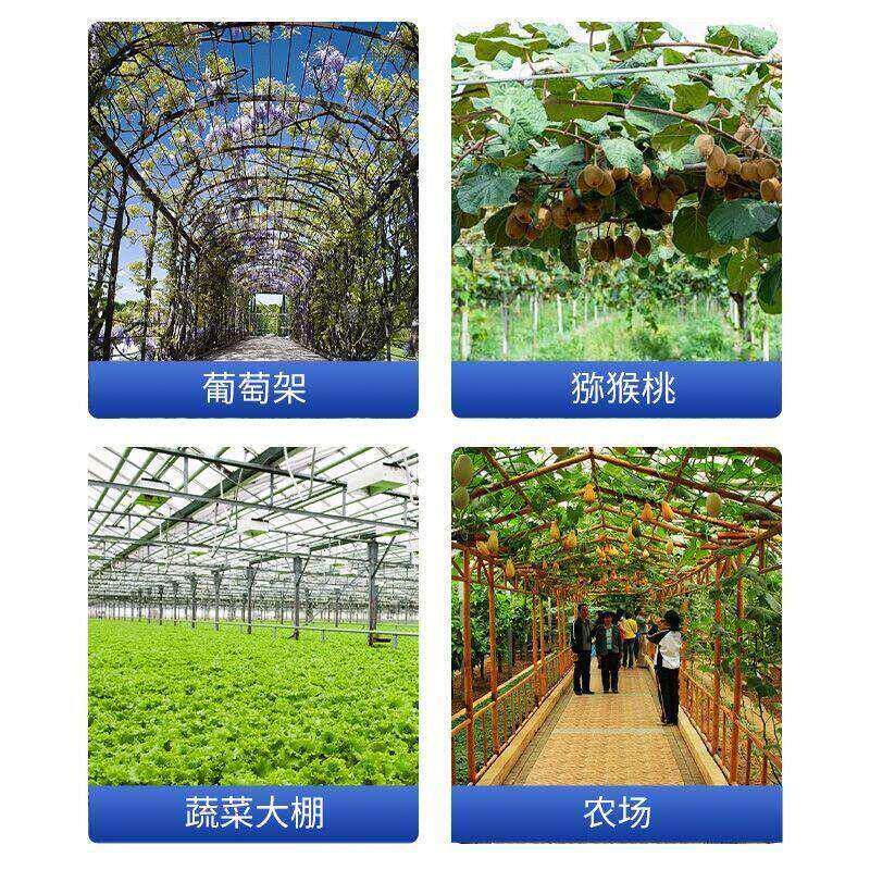 葡萄架钢丝紧线器拉紧器大棚拉紧器镀锌小型铁丝卡扣紧固收紧器