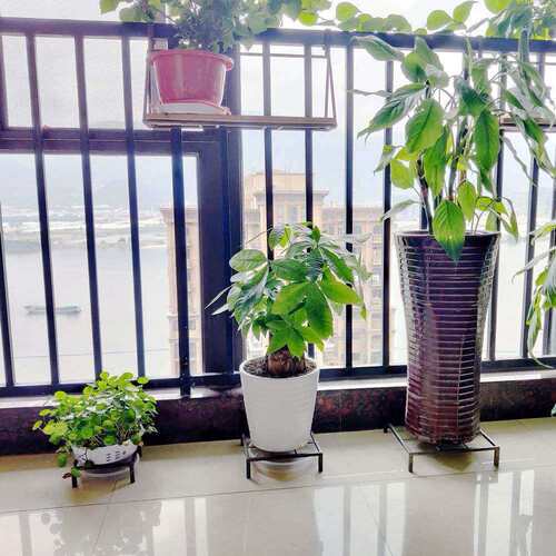 现代简易花盆支架阳台客厅铁艺落地花架置物架绿萝植物架子