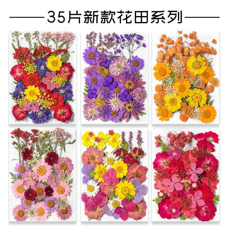干燥花真花diy材料压花网红贴脸装饰眼角贴花瓣妆仙女新娘少女写