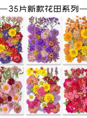 干燥花真花diy材料压花网红贴脸装饰眼角贴花瓣妆仙女新娘少女写