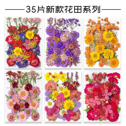 干燥花真花diy材料压花网红贴脸装饰眼角贴花瓣妆仙女新娘少女写