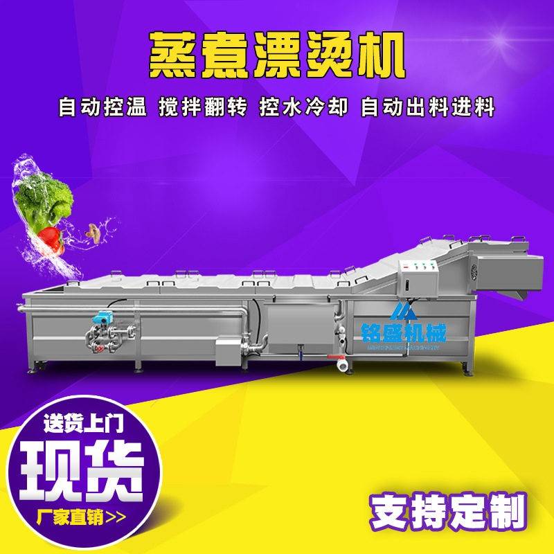 大型豆角漂烫机 猪肉丸蒸煮漂烫线 撒尿丸子蒸煮成型机