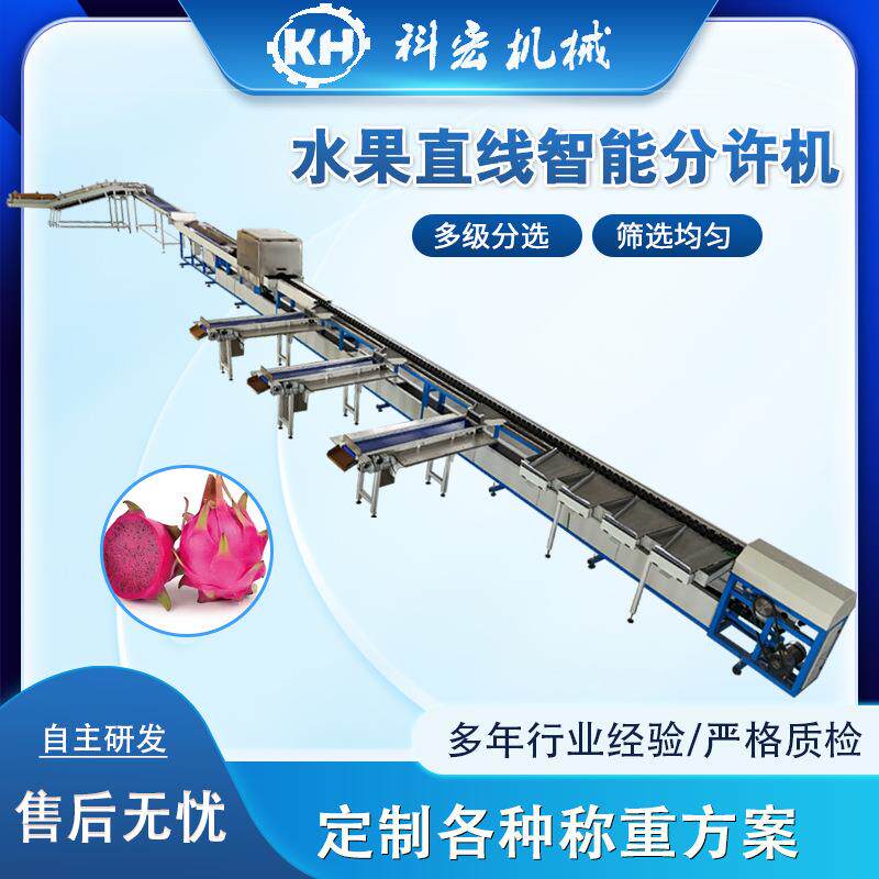 机械水果直线分选机沃柑橙子火龙果智能分选洋葱土豆重量分拣