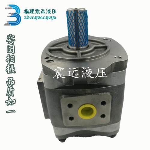 齿轮油泵 IPH6-100-101齿轮泵