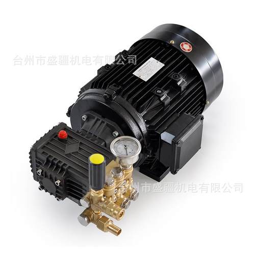 S高压清洗机组38PBQ0/2J20V足额铜电机泵头合加湿造雾设备总线成