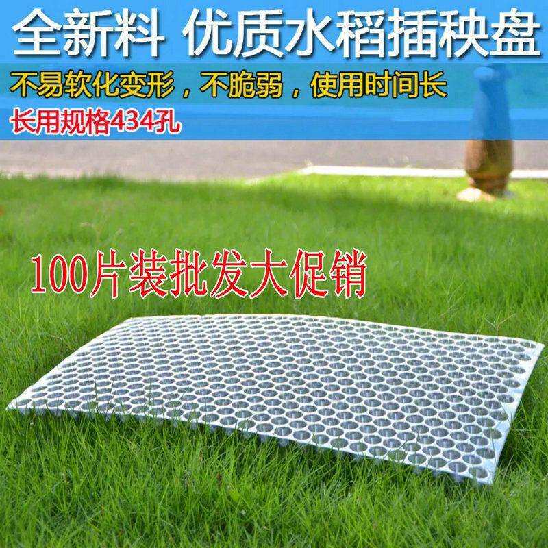 100片晚水稻手抛盘秧盘手抛秧机插盘起苗育苗加厚塑料透明穴盘