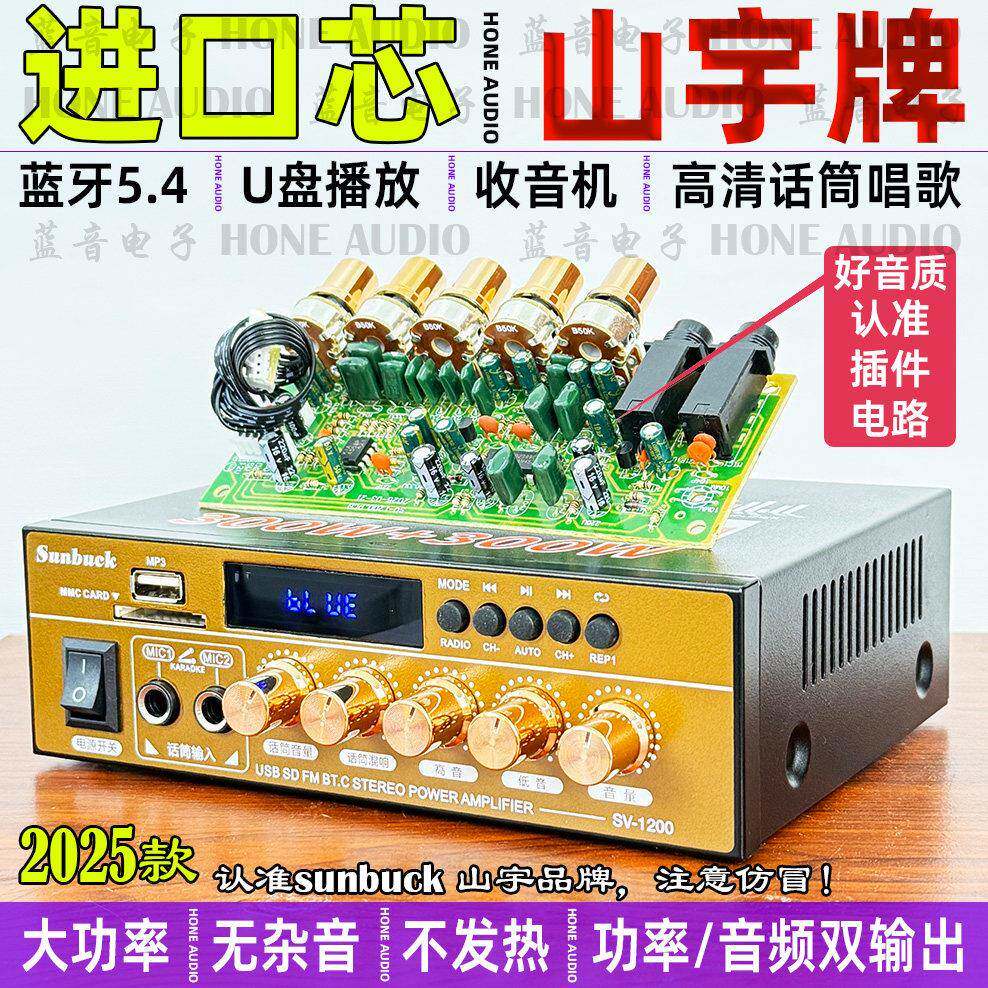 进口芯大功率5.4蓝牙功放机收音机随身碟话筒唱歌无失真音质12v通