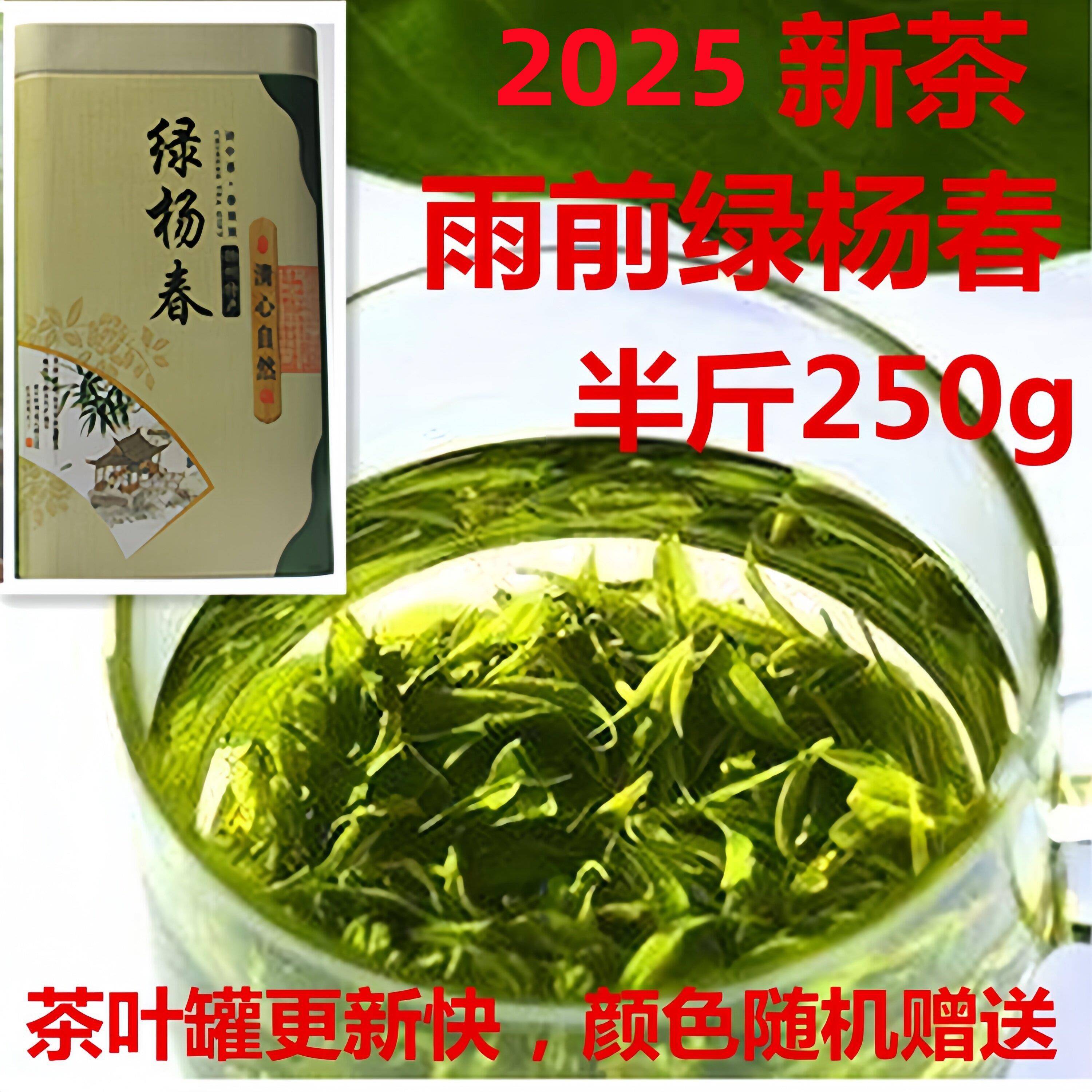 绿杨春 2025年新茶 雨前捺山绿阳扬春茶叶 绿茶 礼盒250g