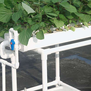 家庭学校阳台绿植塑料花架无土栽培水培设备平面种植床神农6槽
