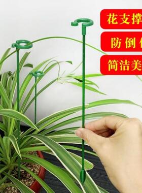 物固定防倒伏月花架子植园艺撑ULZ单杆室外花园支季爬藤种菜捆扎