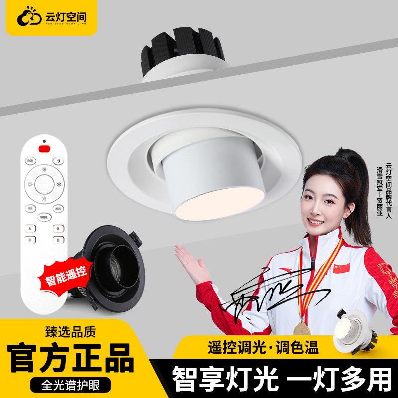 遥控射灯led嵌入式天花灯cob筒灯可调光无极调光三色变光客厅灯具