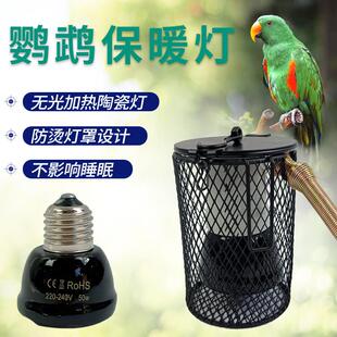 鹦鹉专用保温灯鹦鹉保温灯鸟笼专用无光陶瓷灯加热灯泡鸟类取暖灯