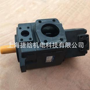 E63 叶片泵 HONGTAI油泵