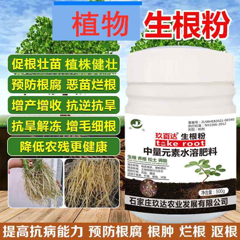强生根粉移栽植物生根壮苗剂果树盆景苗木花肥通用型草莓八角