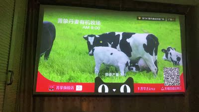 来比下投影仪rigal603升级版和极米Z6哪个好,优缺点区别是?