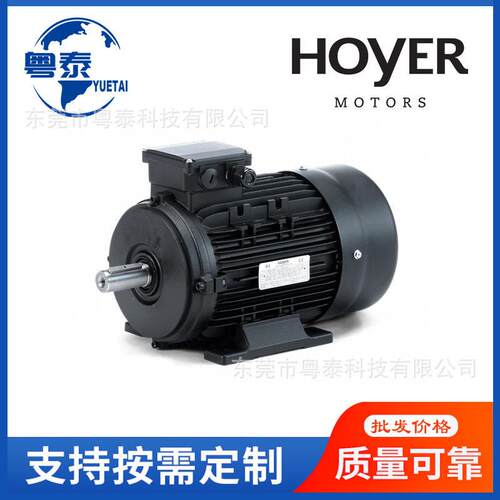 HOYER电机MS56247124HMA2802490L4100L4112M4132M4HMA3