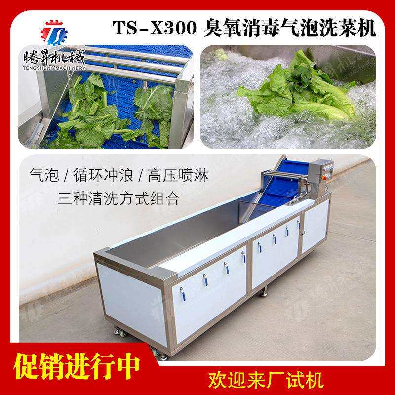 广东优质不锈钢洗果机自动红枣清洗机葡萄干清洗机清洗机价格