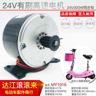 羚鷹小海豚同步輪電機(jī)24V300W高速電機(jī)電動(dòng)車馬達(dá)