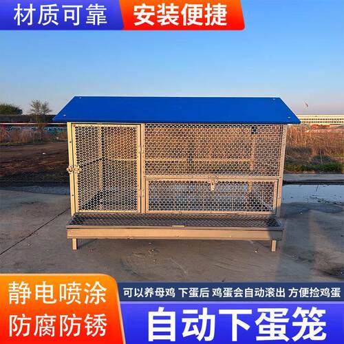 尖顶养殖笼鸡鸭兔笼防黄鼠狼防鼠蛇不生锈户外养鸡棚养鸡笼子家用