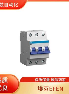 EFEN 熔断器 29300-1700 负荷开关 FMU 6/4-U0 63A/4 Af Km L