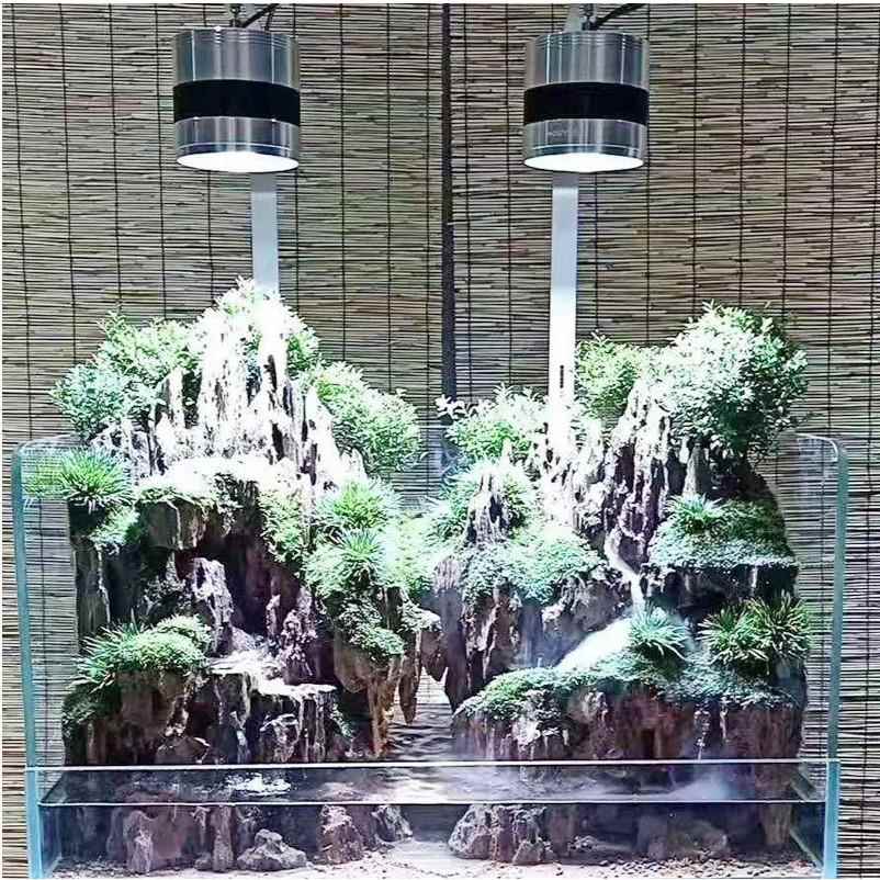 金晶超白缸鱼缸超白玻璃圆角水陆缸水草缸小型套缸斜口水陆缸