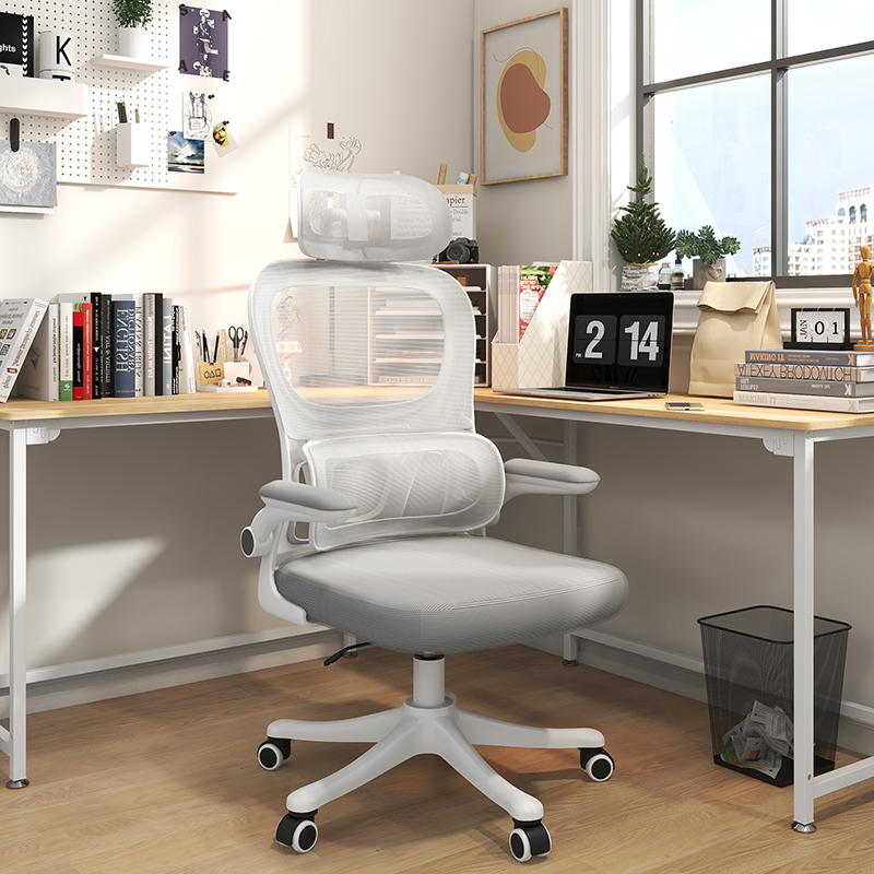 fLE电脑椅舒适久坐家用人体工学电竞椅男宿舍椅子学生靠背椅办公