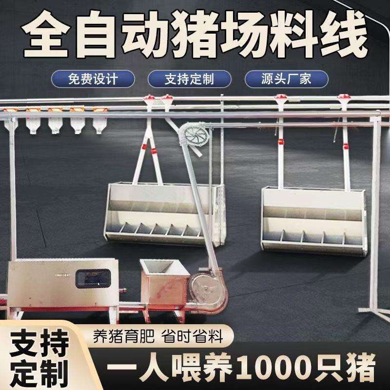 养猪场链条料线全套母猪养殖场简易自动喂料机设备养殖全自动赛盘