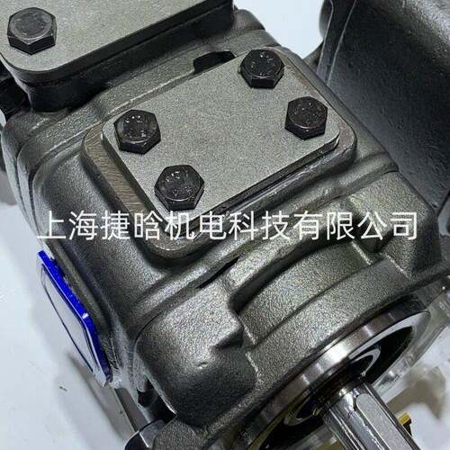 ALBERT 内啮合齿轮油泵 VG22D-125-100REW-A1 折弯机伺服泵