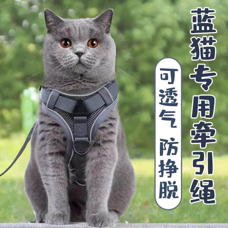 蓝猫牵引绳背心胸背可调节英短蓝白猫遛猫绳子防挣脱专用外出炼子