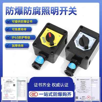 防爆防腐照明开关BZM8050ZXF8030BZK单极/双极双控FZM-10A