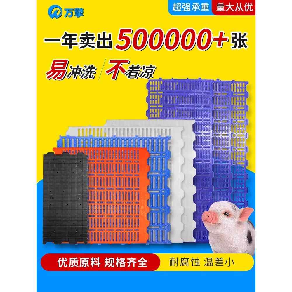 漏粪板加厚养猪用塑料母猪产床漏粪板狗小仔猪保育床板羊床漏粪板
