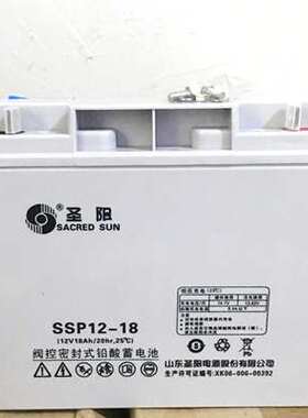 圣阳SP12-100蓄电池12V7AH17AH24AH38AH65A120A150A200AH机房专用