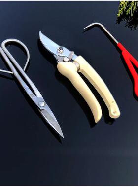 厂家直供不锈钢叶芽剪枝剪景盆景盆栽剪工EAW修具盆造型工具花园