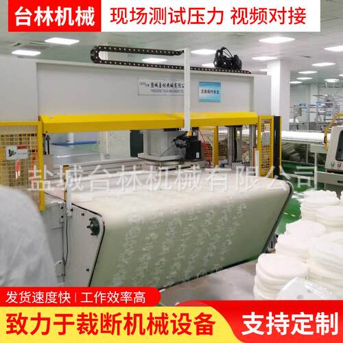厂家直销皮带式面膜裁断机珠光膜裁剪冲床塑料裁断机型号全