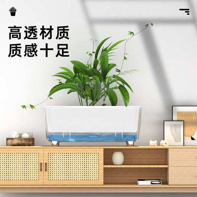 自吸水懒人盆蝴蝶兰绿萝红掌白掌花盆草莓盆栽专用盆种菜专用盆