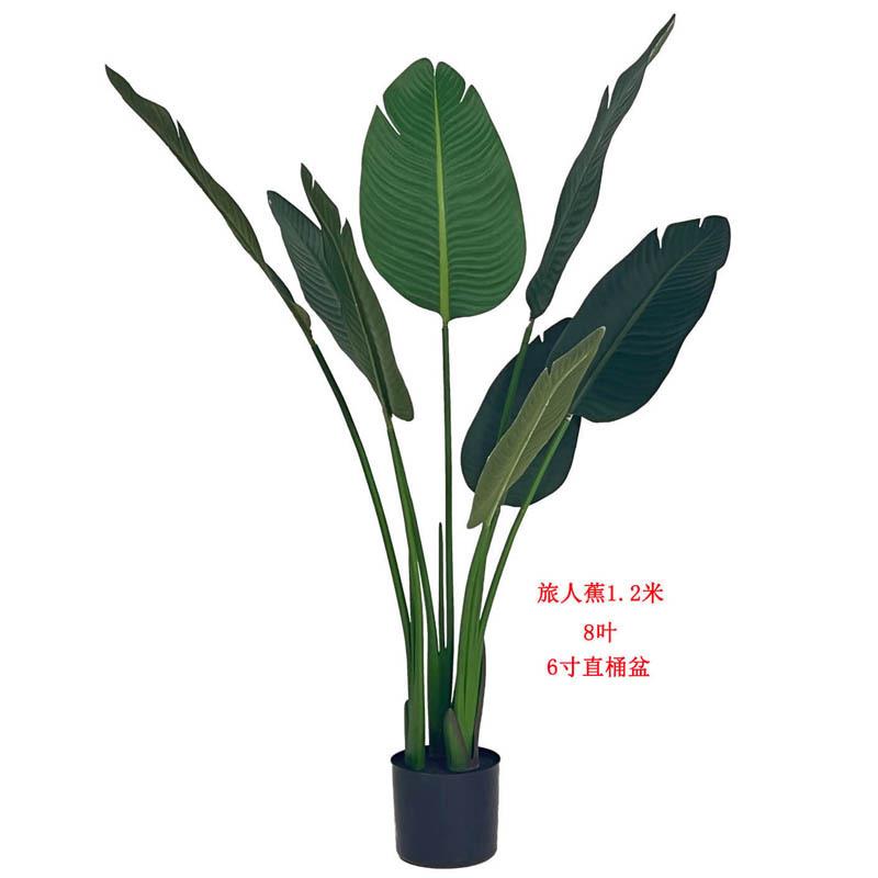 景仿真旅植人蕉盆栽人造美人蕉绿室内装家具饰摄影道具JK—仿真造