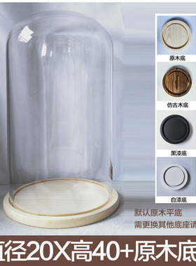 礼物永生花材料玻璃罩盲盒玻璃罩球罩昆虫蝴蝶节日应援棒公仔