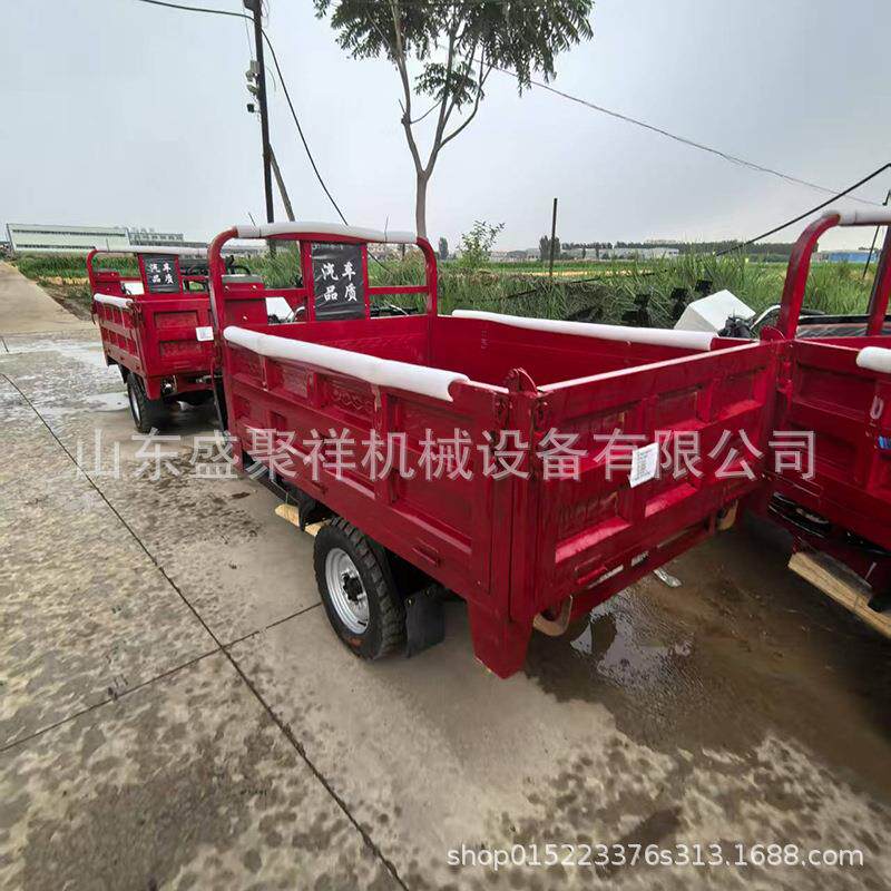 三轮摩托车燃汽油自卸发动机农用货运水冷国四电喷摩托三轮车