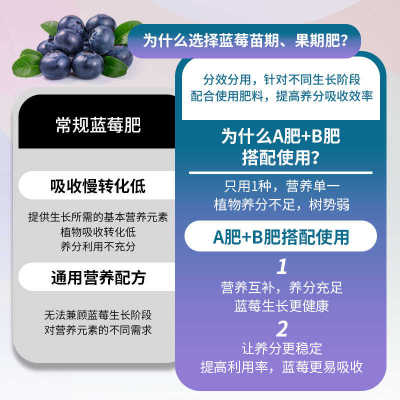 比利孚蓝莓专用AB肥果期苗期肥料改善黄叶掉叶促生长水溶肥