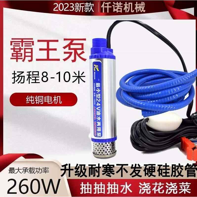 德国进口电动抽油泵柴油12v24伏通用抽水泵抽油神器小型加油枪油