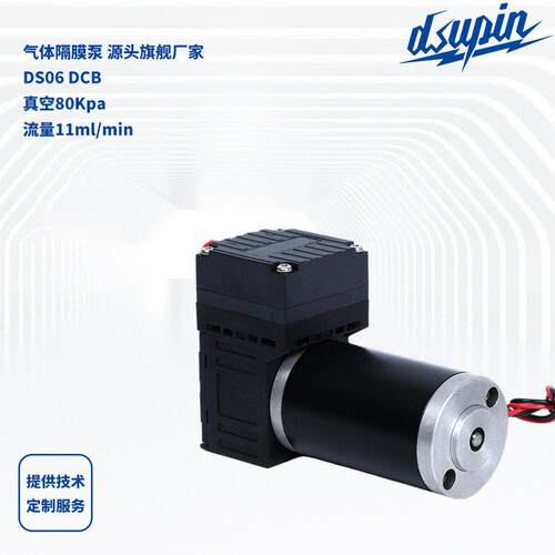气体隔膜泵DS06DCB无刷隔膜微型真空泵12V/24V气体采样泵供应