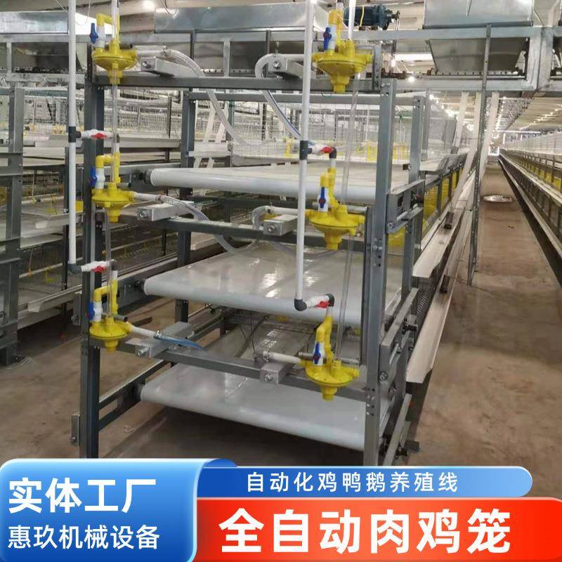 全自动肉鸡笼三四层H型鸡舍养鸡肉鸡笼设备自动清粪养殖肉鸡笼具