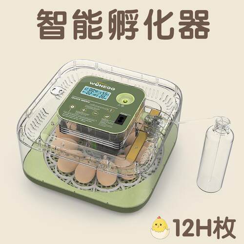 新品12枚方圆款家用鸡蛋孵蛋器小鸡孵化养殖设备孵化器便携养殖