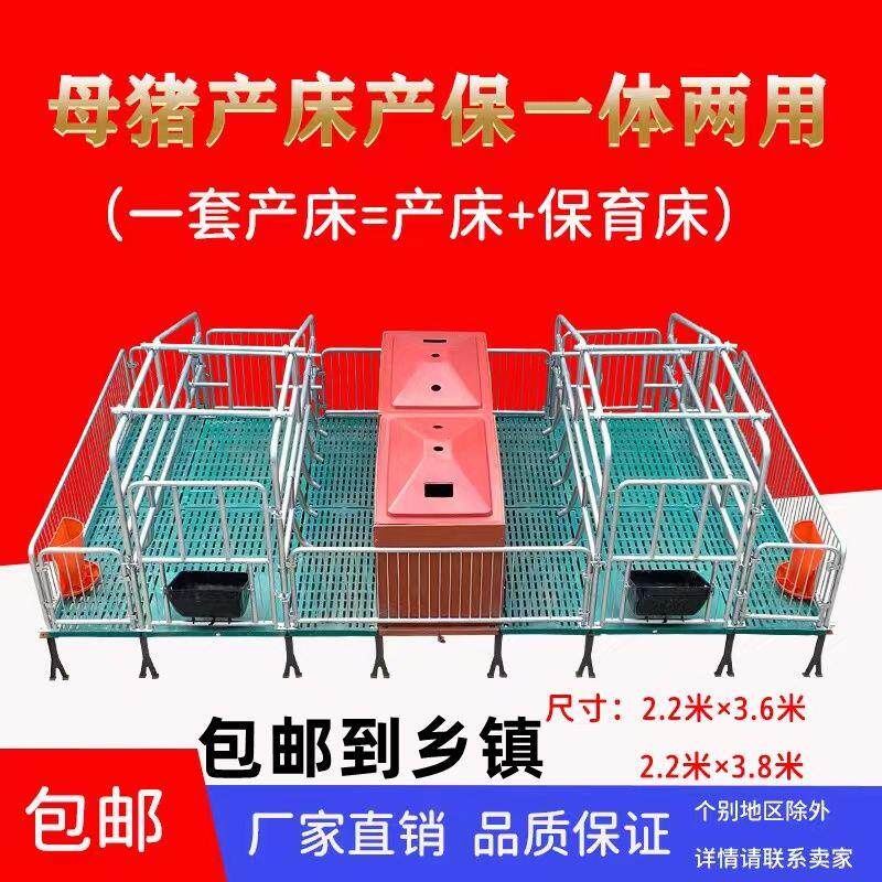 母猪产保一体产床两用全复合双产床定位栏保育母猪产床全套一整套