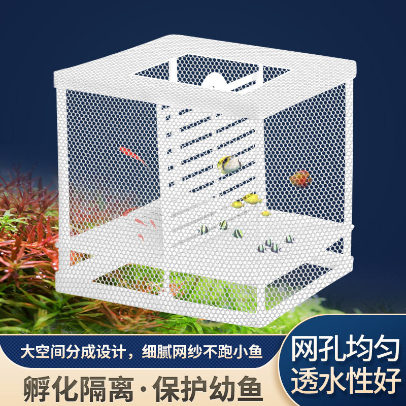隔离网鱼缸孵化提高存活孵化器