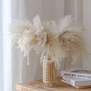 僮烨蒲扇芦苇藤编透明玻璃花瓶组合蒲扇芦苇民宿店铺软装客厅装饰