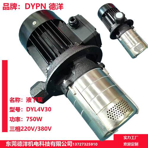 DYL4V40 220V 卧式不锈钢低温冷冻循环泵 冷却泵 离心式离心泵